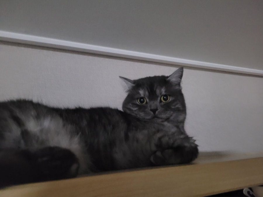 츮 