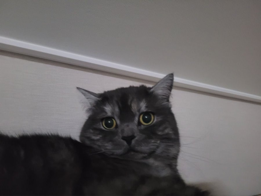 츮 