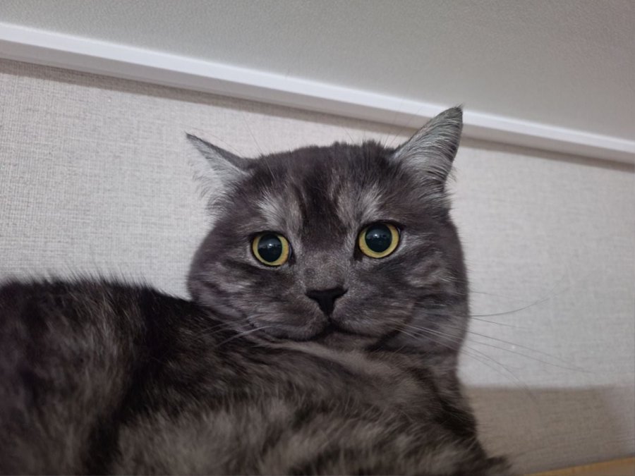 츮 