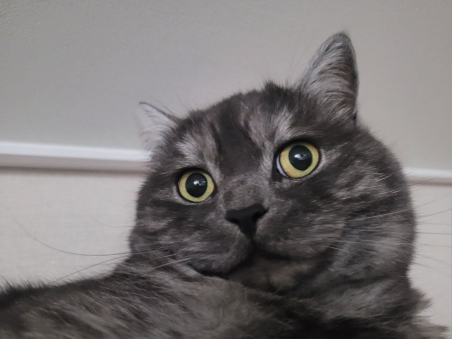 츮 