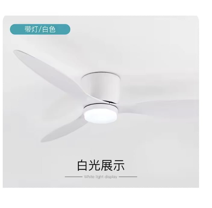 20250521120734_Ia8fUdAcrM.png