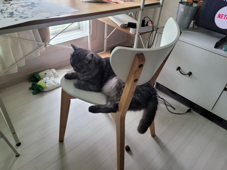 츮 
