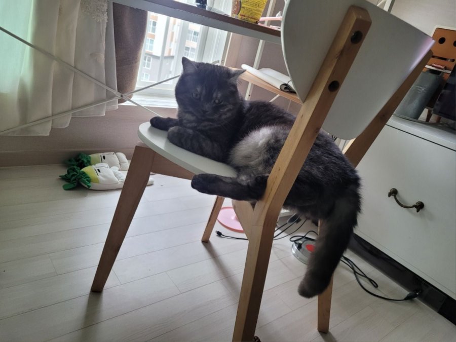 츮 