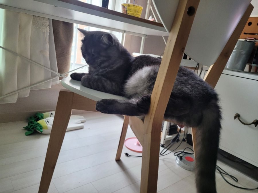 츮 