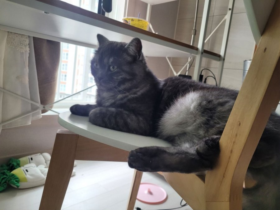 츮 