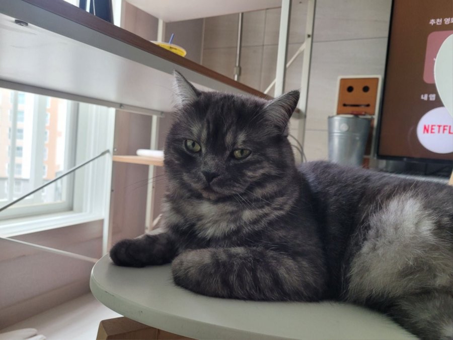 츮 