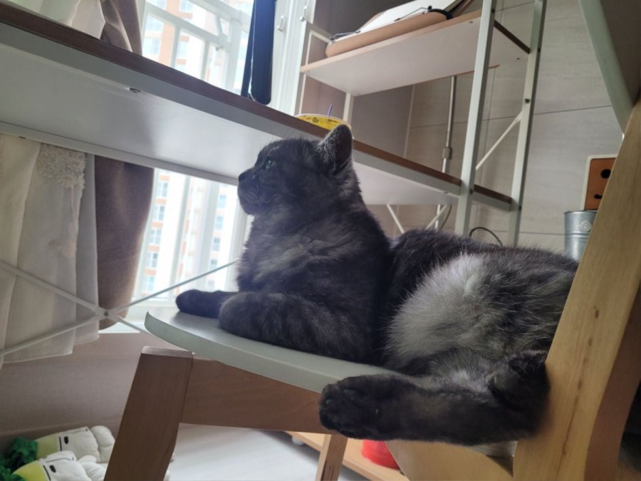 츮 