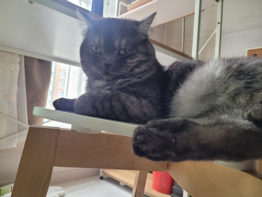 츮 