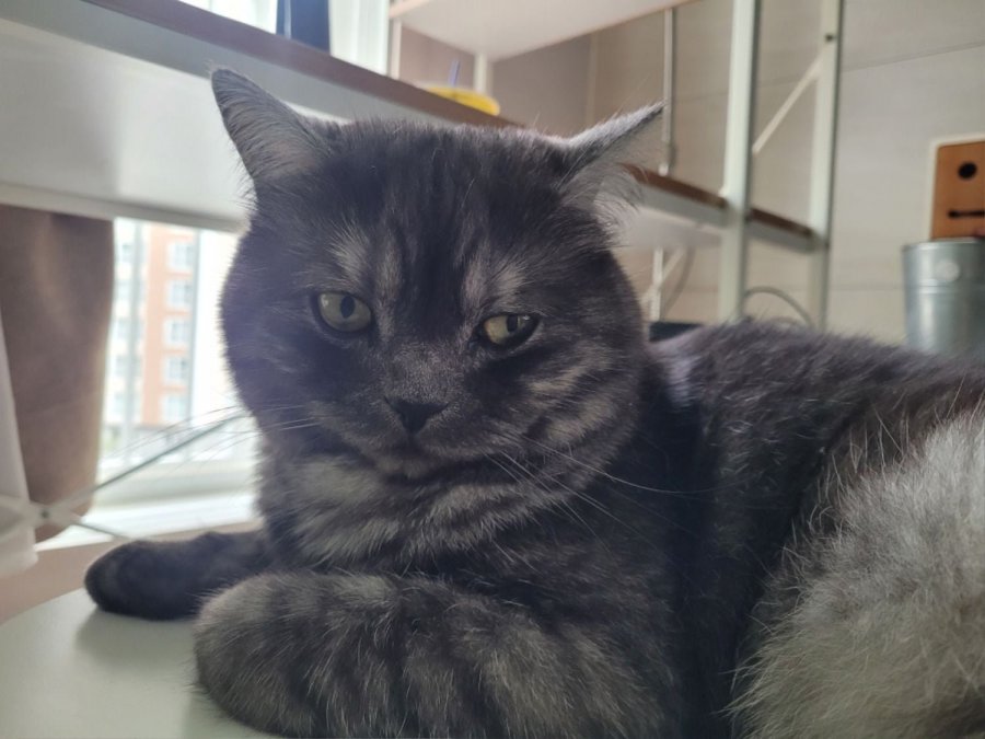 츮 