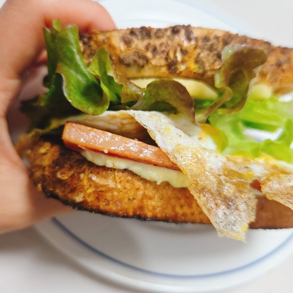 호밀빵 샌드위치