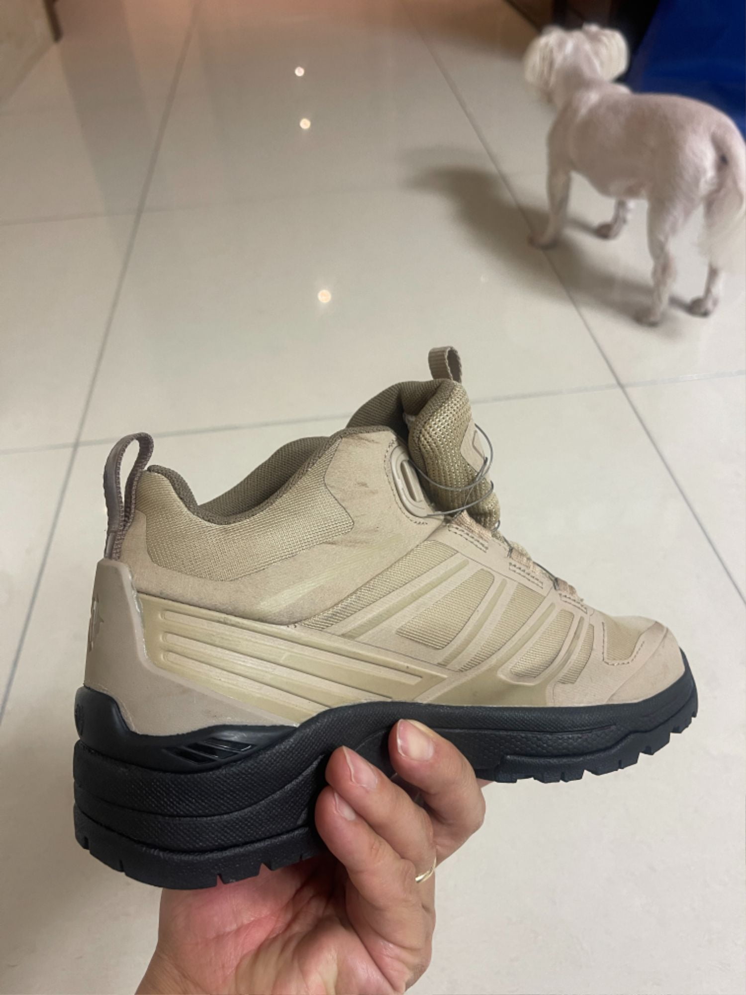 20250522095141_bNn36amvSQ.jpg