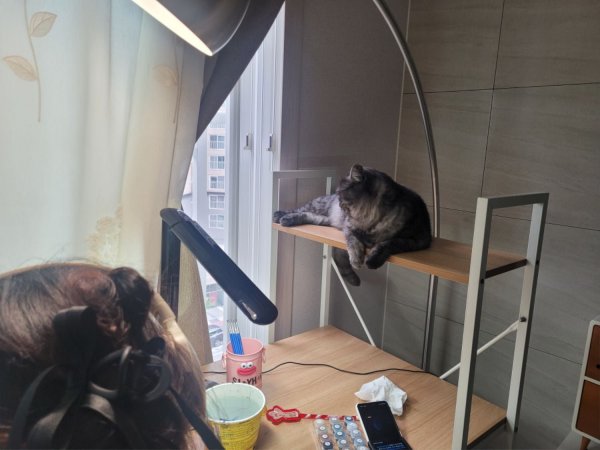 우리집 깜지