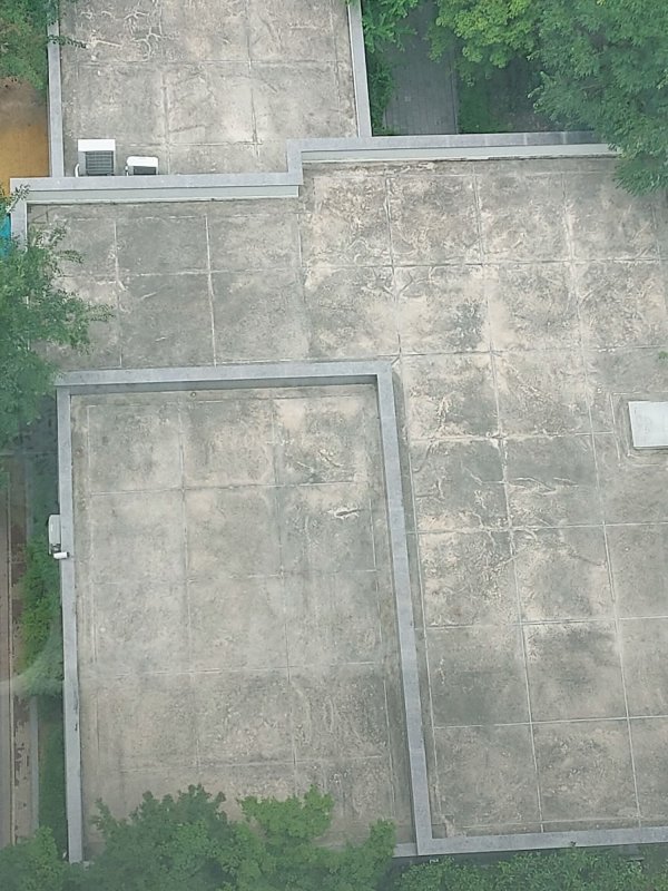 20250523_144826.jpg