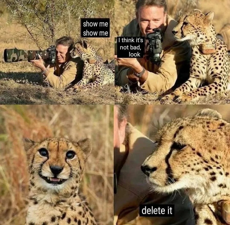 20250524100418_1DMX8Nmf9B.jpeg