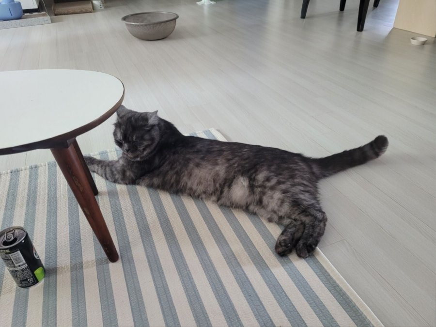 츮 