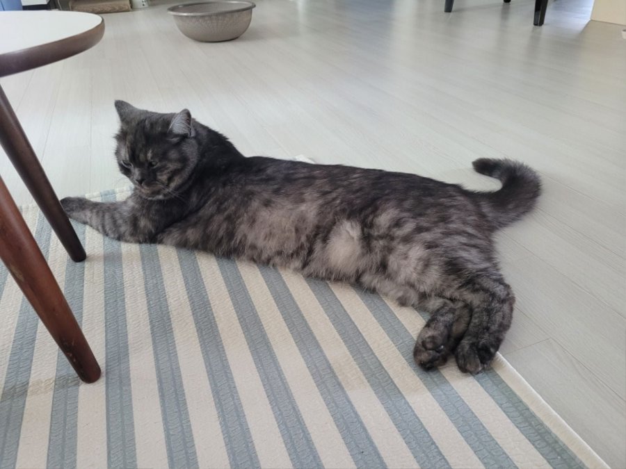 츮 