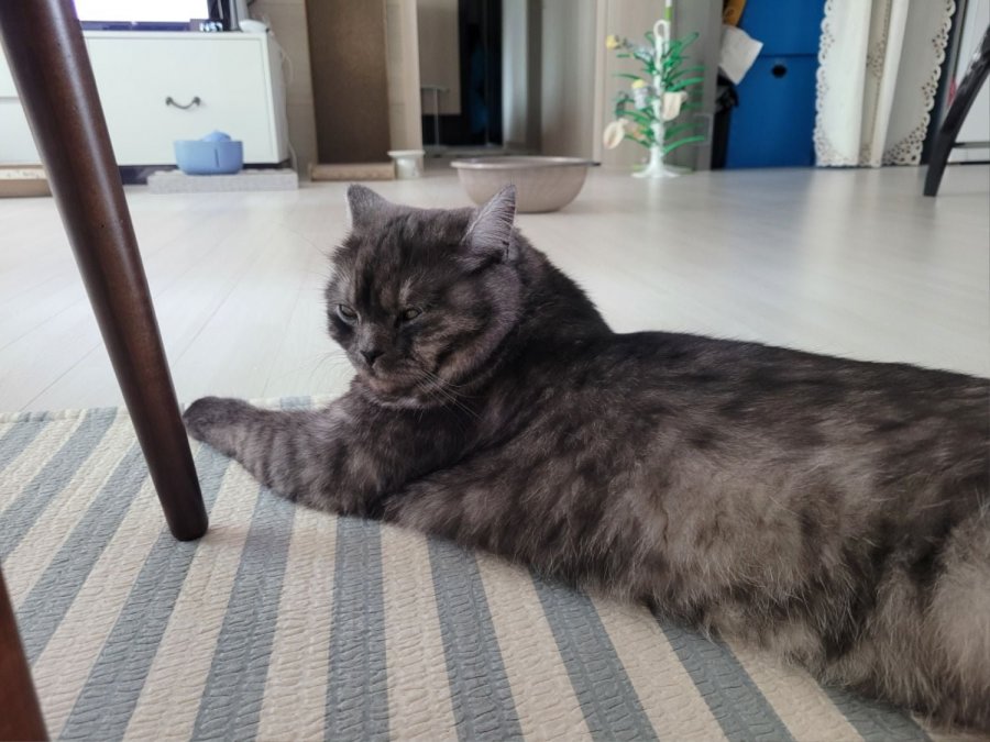 츮 