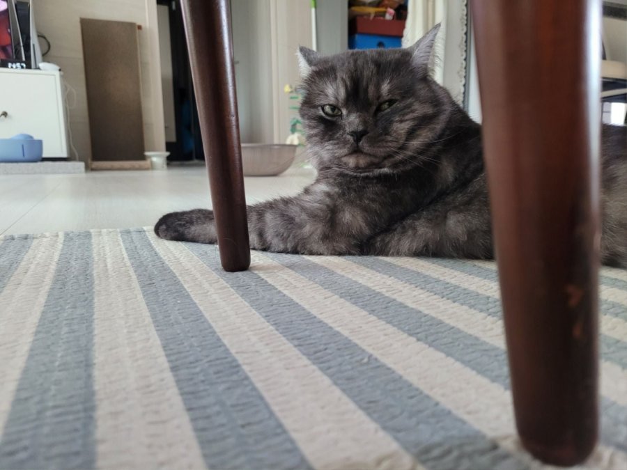츮 