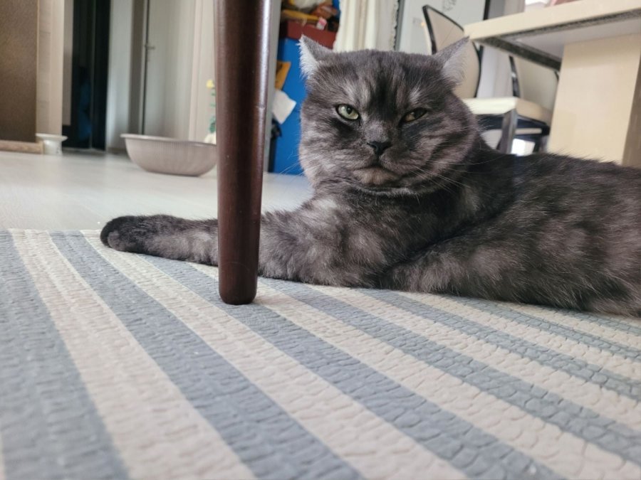츮 