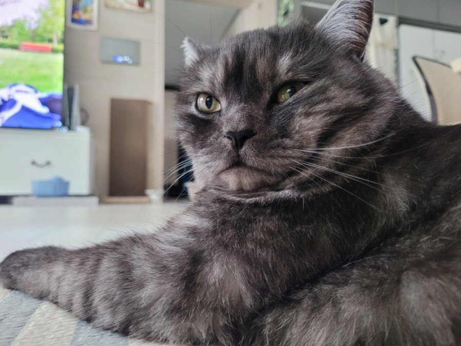 츮 