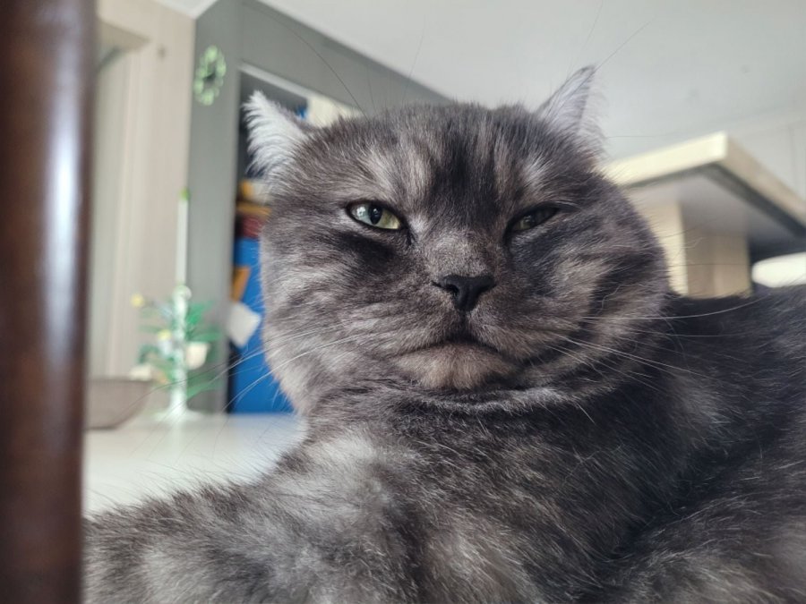 츮 