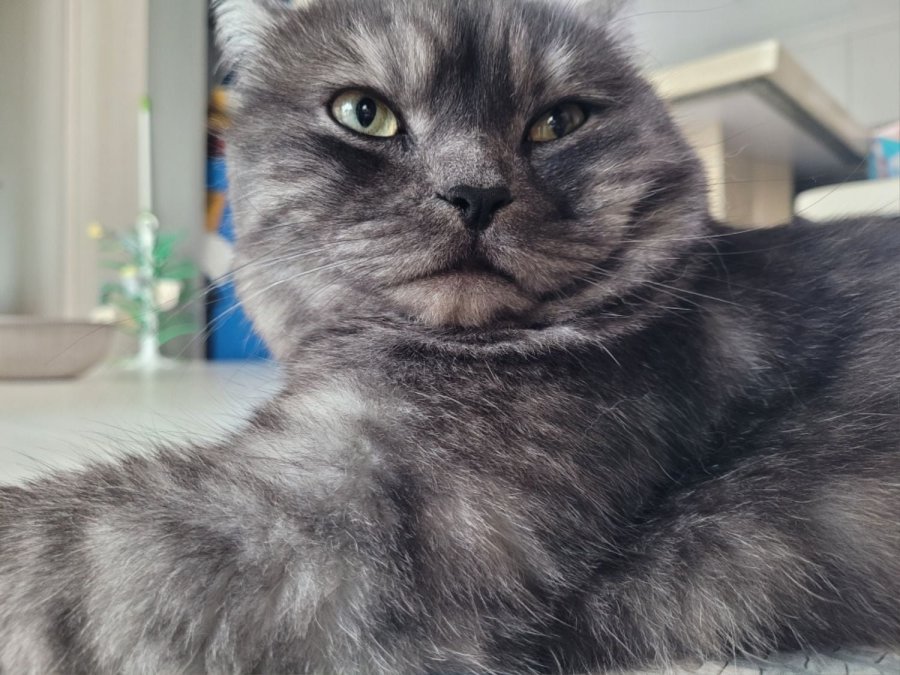 츮 