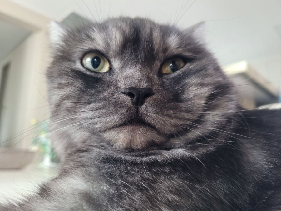츮 