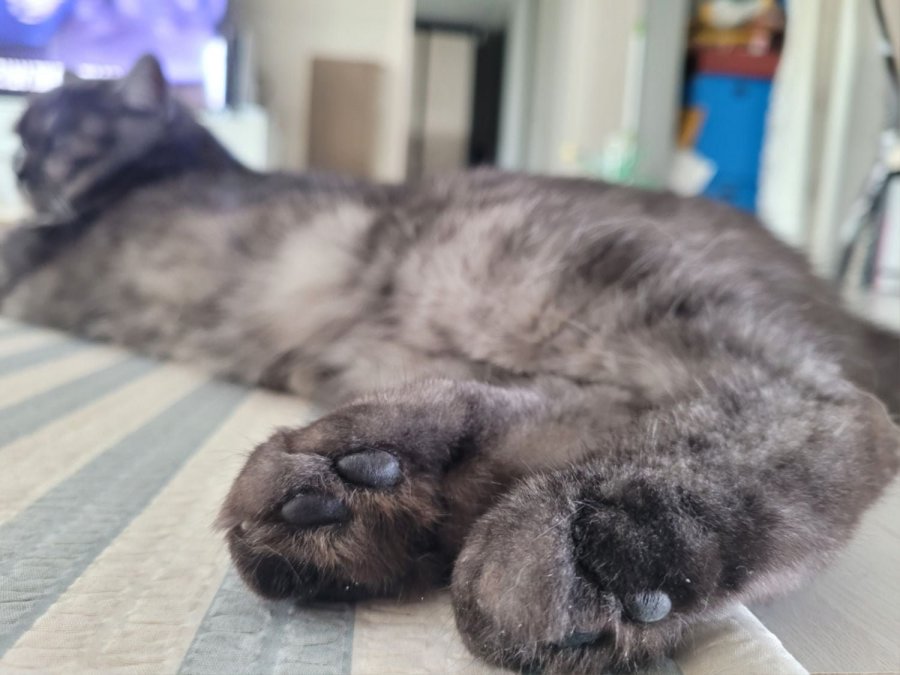 츮 