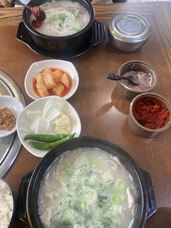 돼지국밥