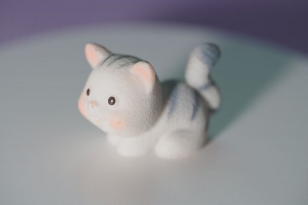 고양이 인형