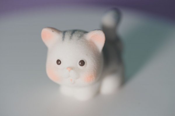 고양이 인형