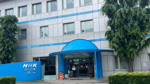 투표, 운동회