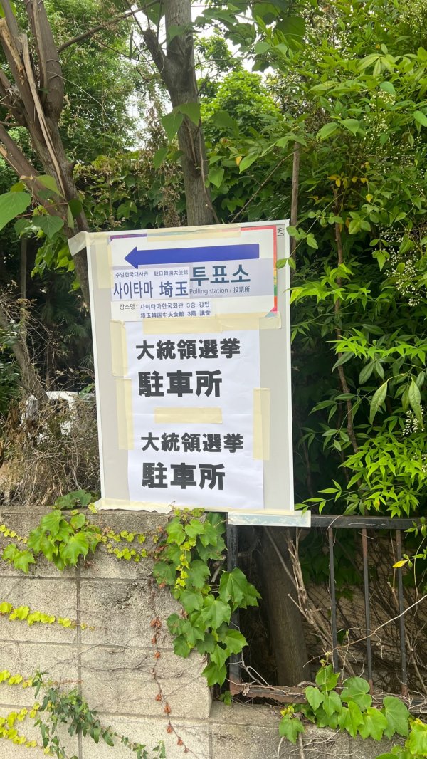 투표, 운동회