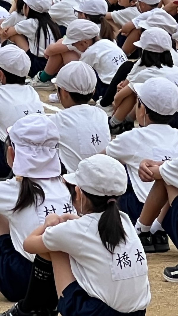 투표, 운동회
