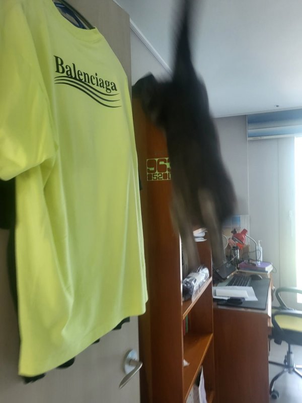 우리집 깜지