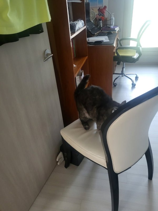 우리집 깜지