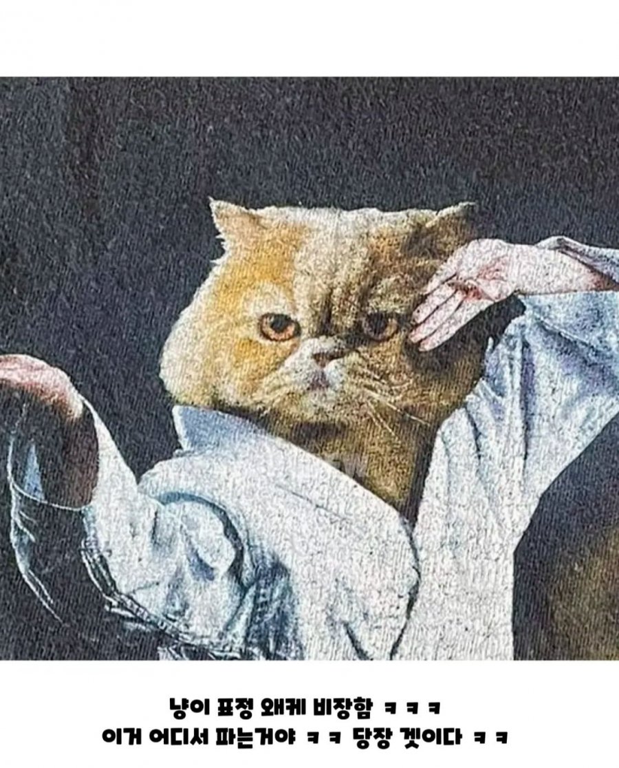 20250526003955_OchkkabFh9.png