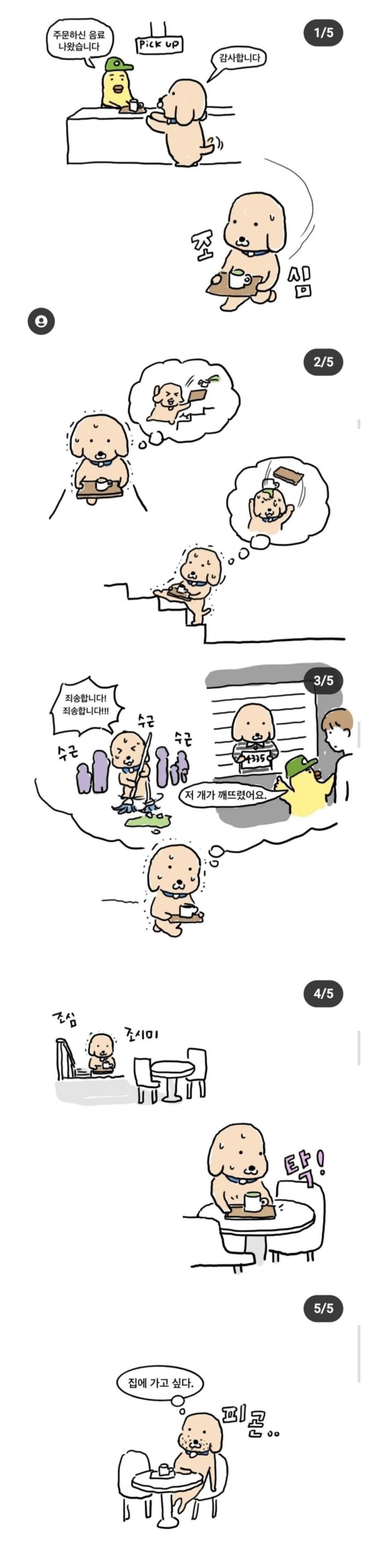 20250527002946_i6vTEDEp0u.jpg