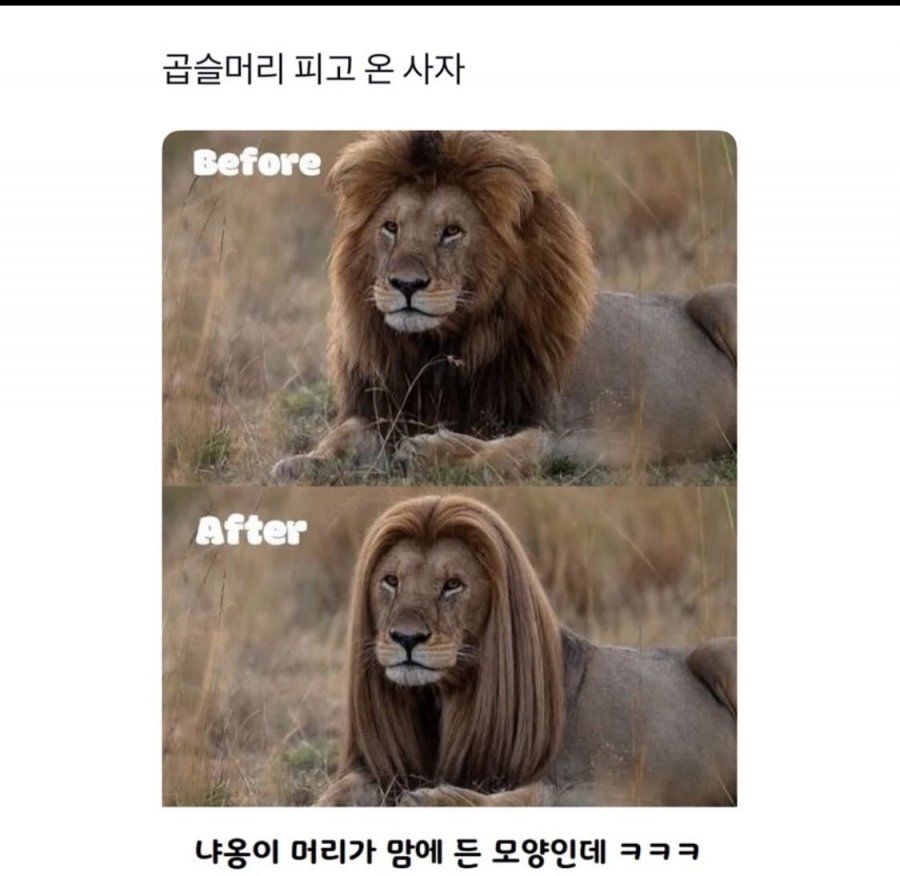 20250527224340_cMfr5L36yH.png