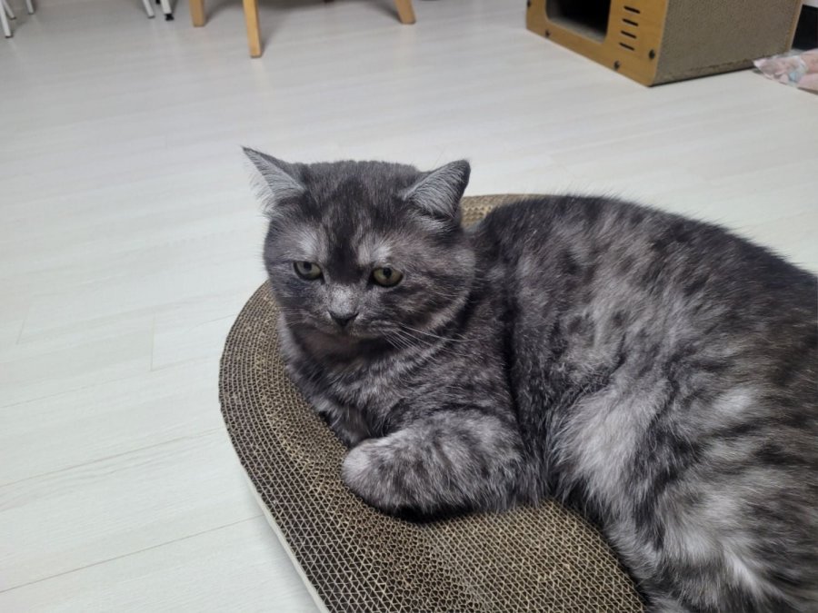 츮 