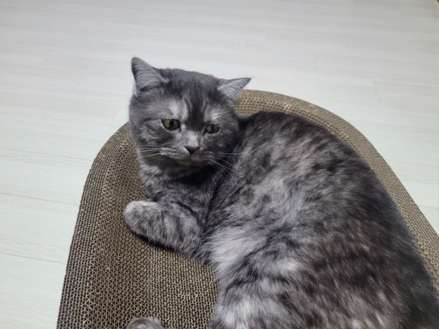 츮 
