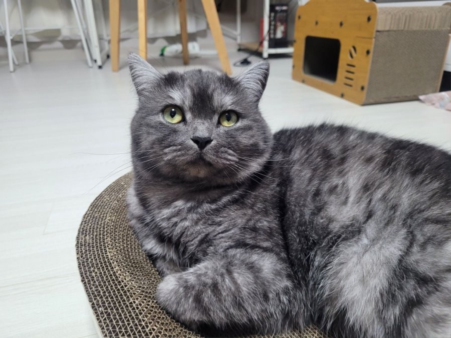 츮 
