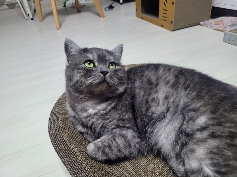 츮 