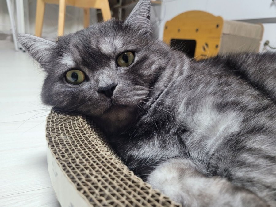 츮 