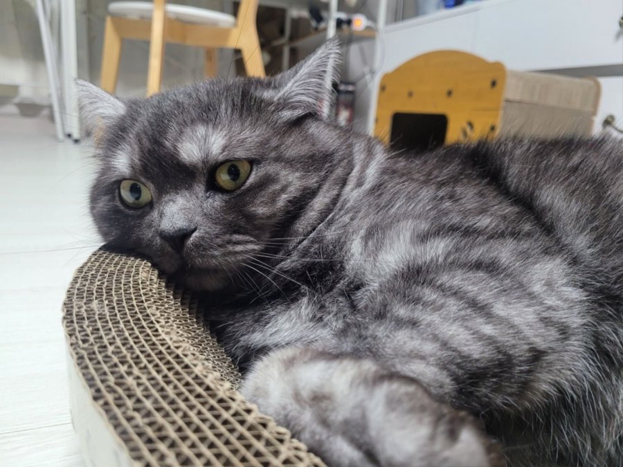 츮 