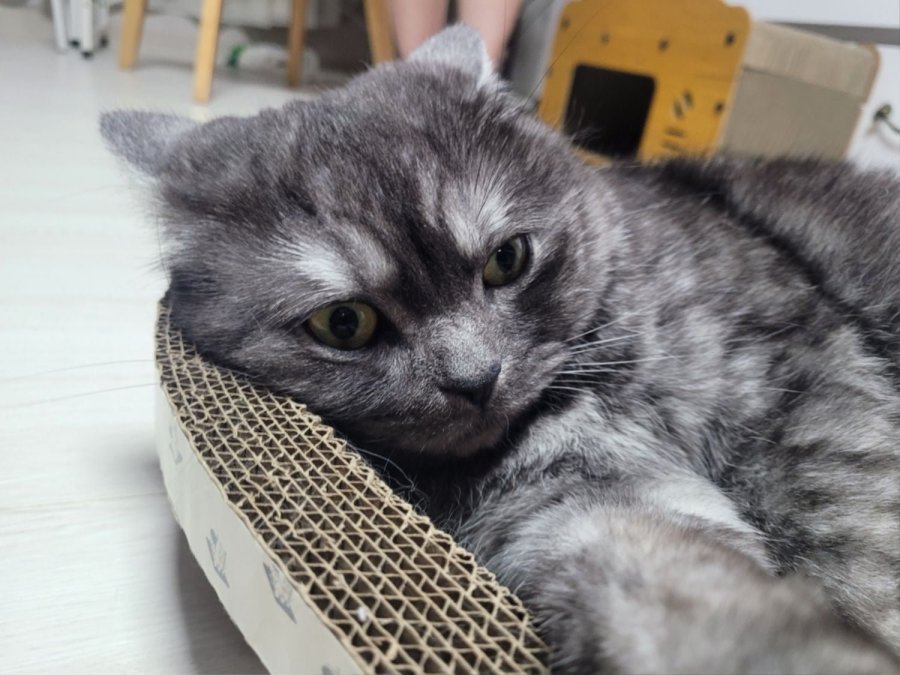츮 