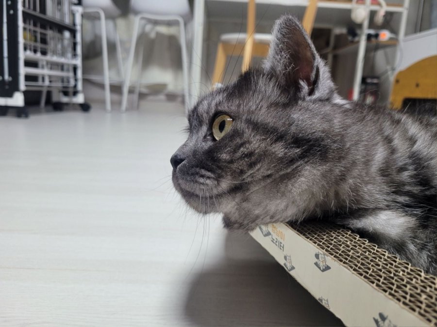 츮 