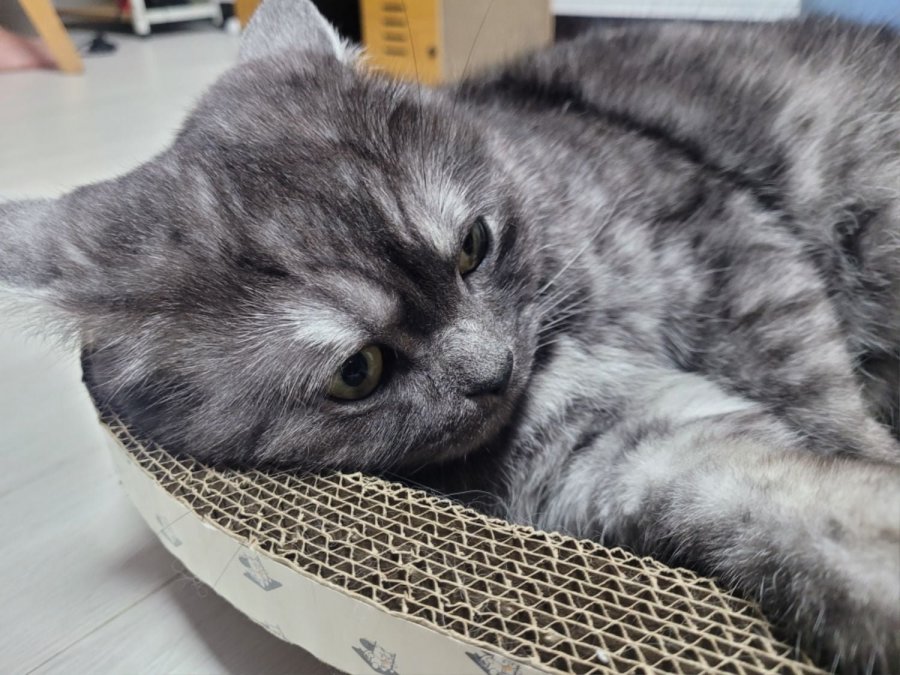 츮 