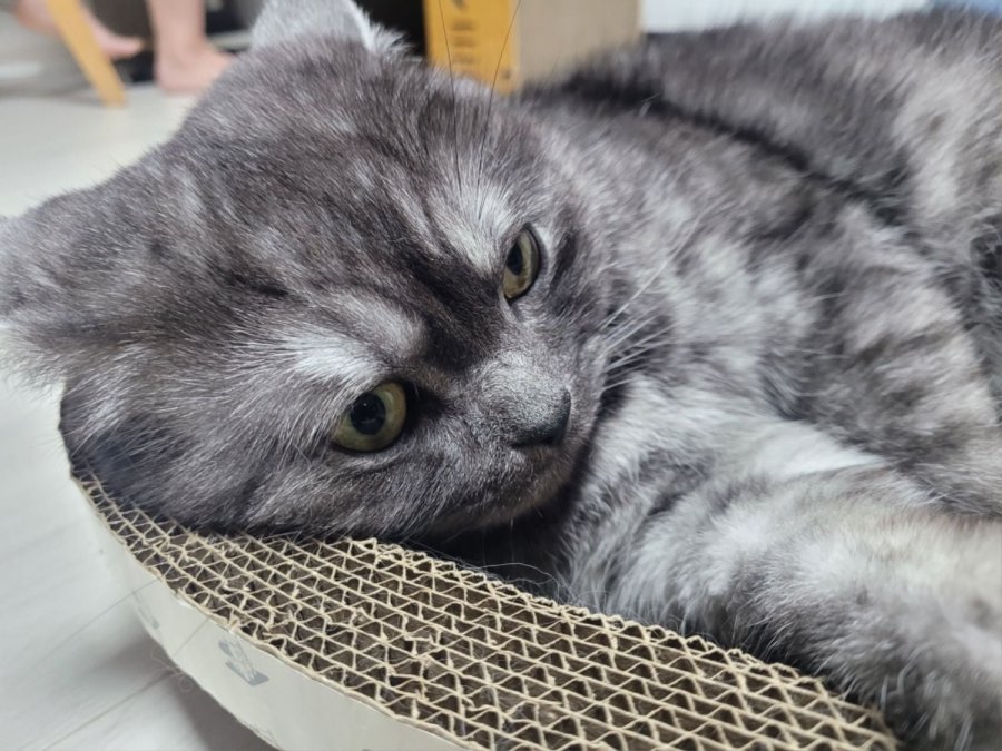 츮 