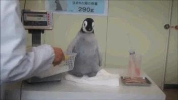 20250528131918_LN4mAjZvJz.webp